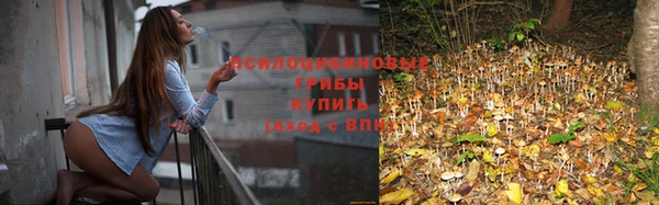 первитин Белокуриха