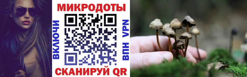 Галлюциногенные грибы Cubensis  Крымск 